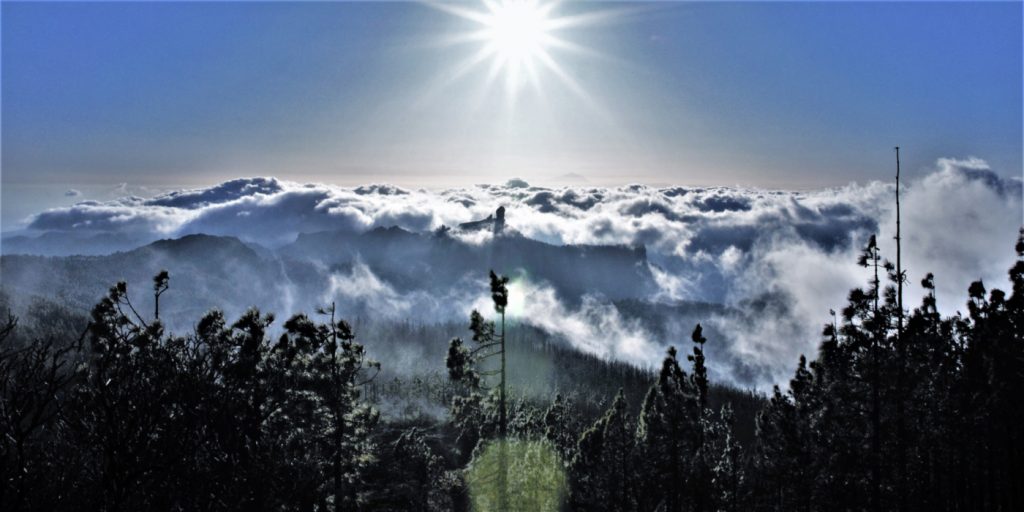 web-canaria-roque-nublo