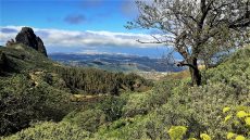 web-canaria-foto-norden