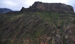 theHawk-web-canaria