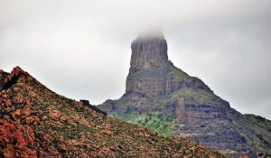 theHawk-web-canaria