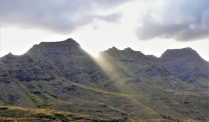 theHawk-web-canaria