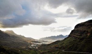 theHawk-web-canaria