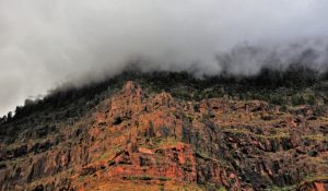 theHawk-web-canaria