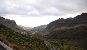 theHawk-web-canaria