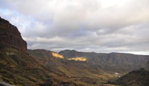 theHawk-web-canaria