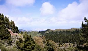 web-canaria-norden17