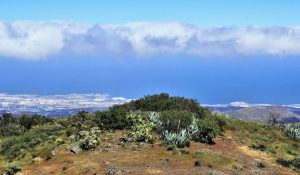 web-canaria-norden4