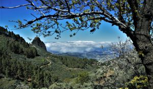 web-canaria-norden5