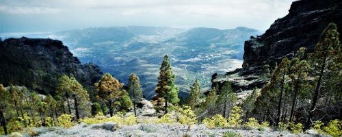 web-canaria-fotografie